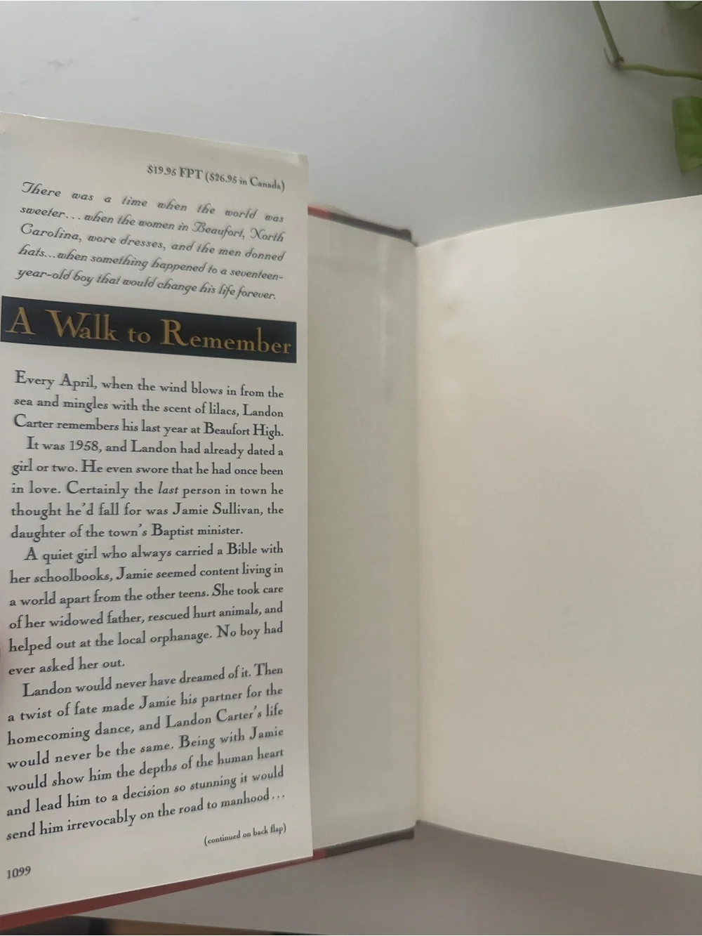Warner Books walk remember